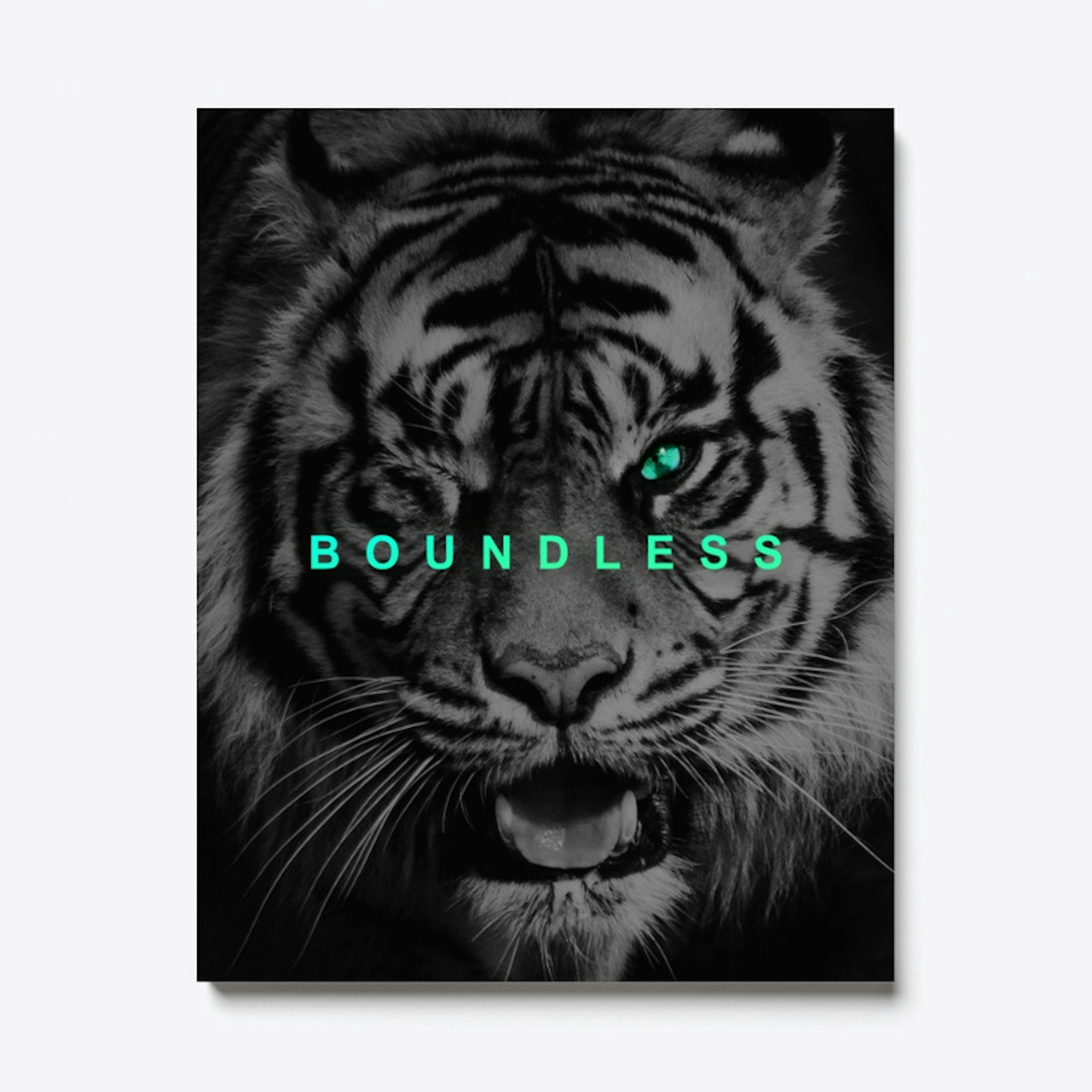 I am boundless - Motivational Poster